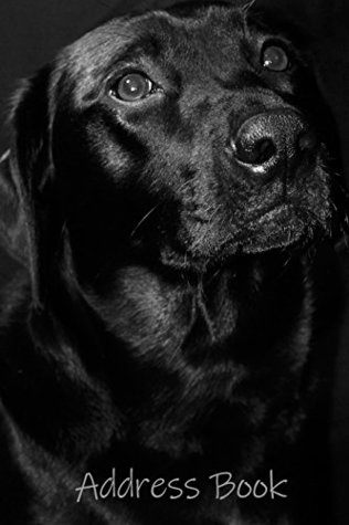Read online Address Book: Labrador Retriever dog address book for women, men & kids. Featuring large print, perfect for friends, family & work contacts,  6x9 size, over 350 contact forms. (06) - Abundant Creations file in PDF